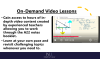 Mastering A22 revision course 